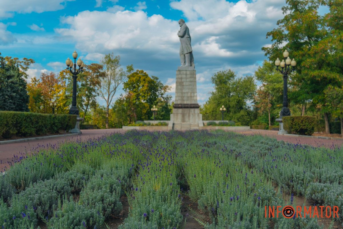 Лаванда може уберегти троянду від шкідників, якщо росте поруч з нею