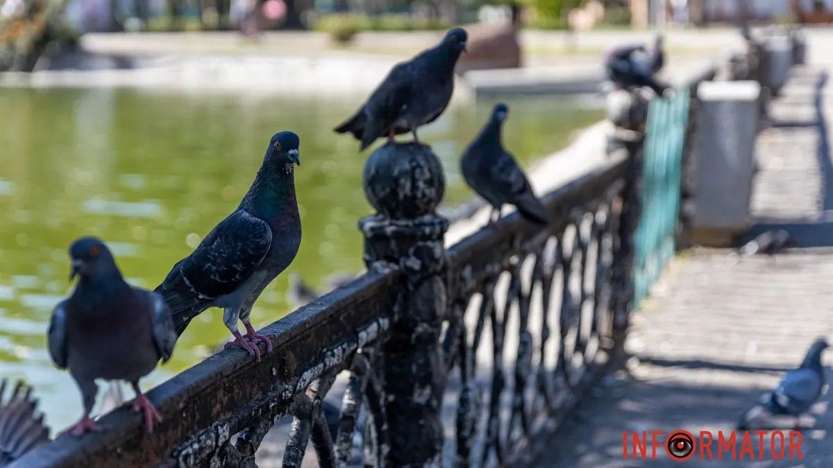 В Днепре будет солнечно: прогноз погоды на 21 сентября