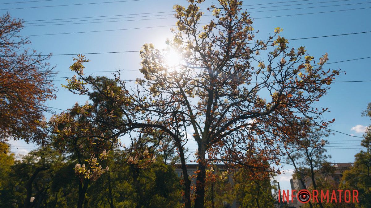 Яка погода буде в Дніпрі 24 вересня