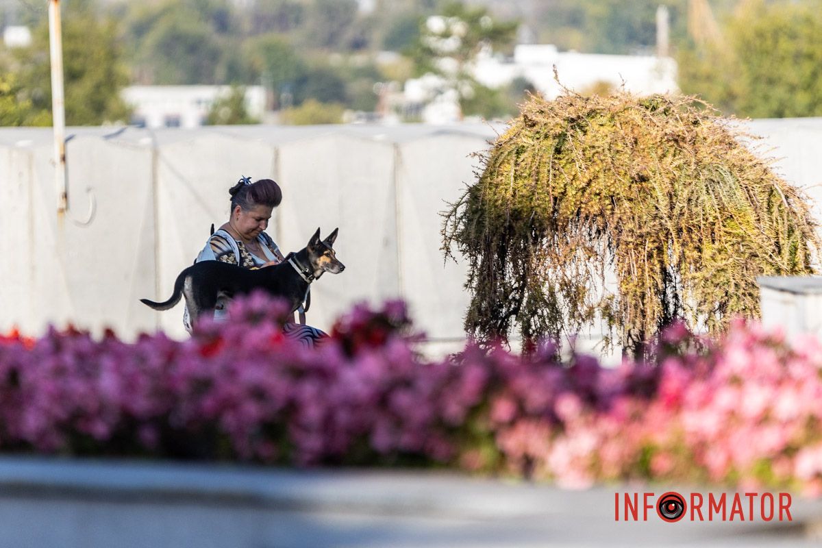 Как выглядит осенний парк Шевченко в Днепре: фоторепортаж Информатора 12