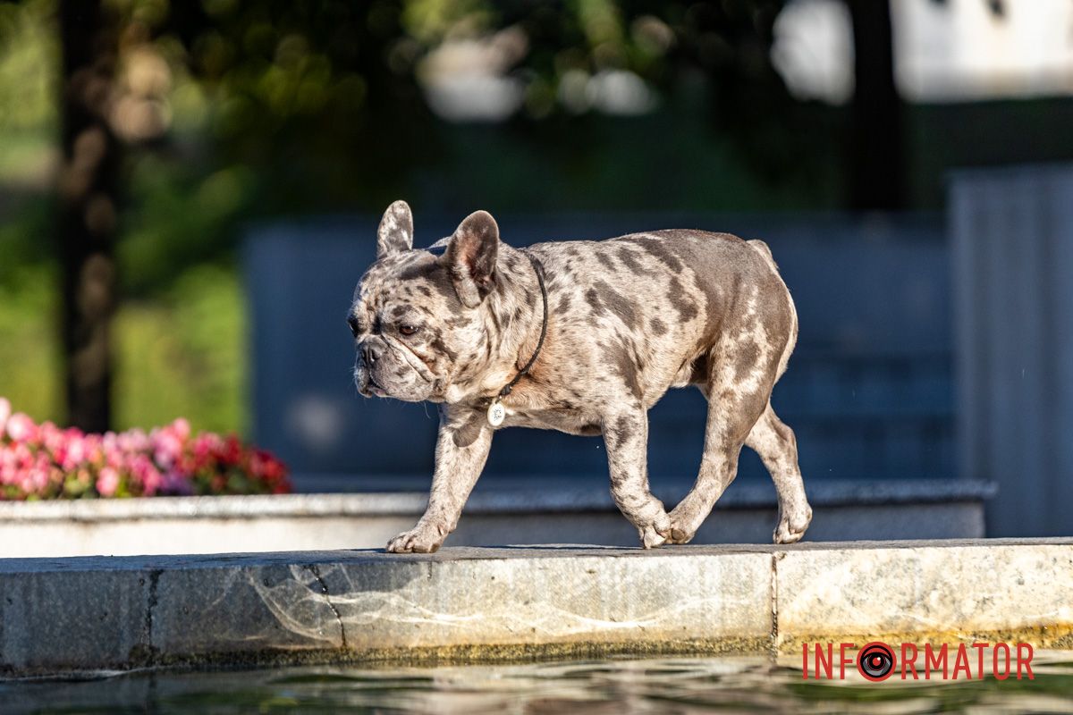 Как выглядит осенний парк Шевченко в Днепре: фоторепортаж Информатора 13