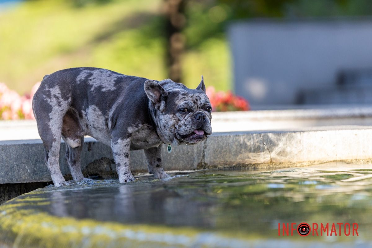 Как выглядит осенний парк Шевченко в Днепре: фоторепортаж Информатора 14