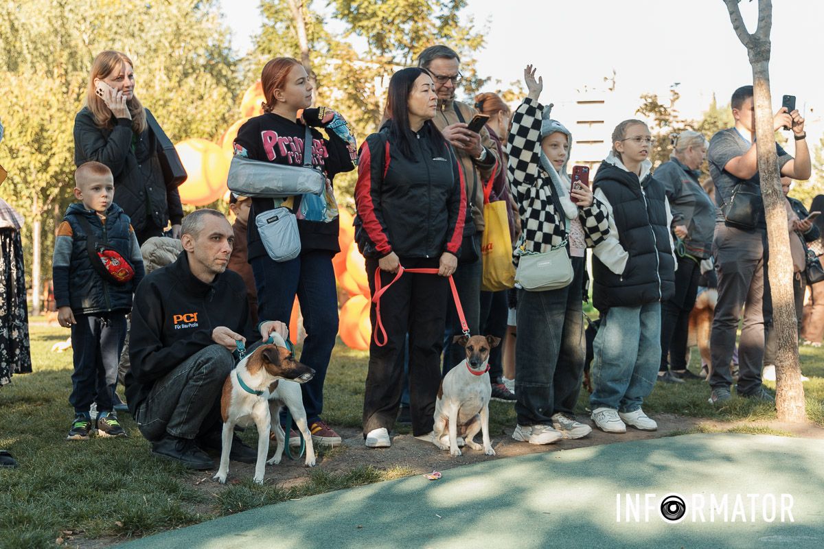 Дефіле собак, фотозони та море позитиву: у Дніпрі пройшов “Гав-Гав Фест – 2025” 1