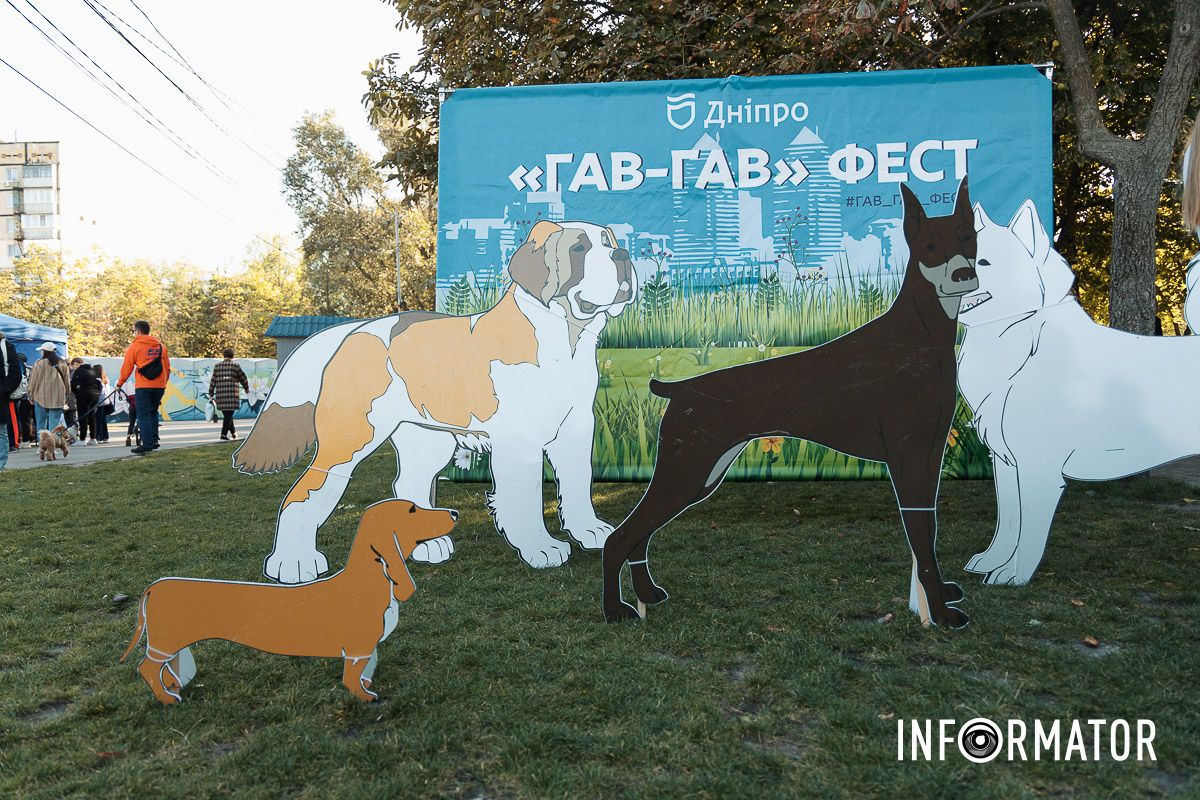 Дефіле собак, фотозони та море позитиву: у Дніпрі пройшов “Гав-Гав Фест – 2025” 4