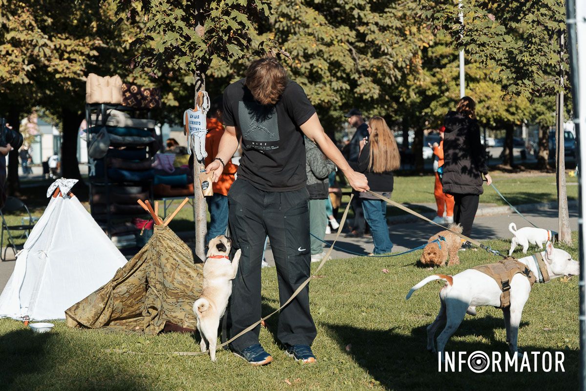 Дефіле собак, фотозони та море позитиву: у Дніпрі пройшов “Гав-Гав Фест – 2025” 8