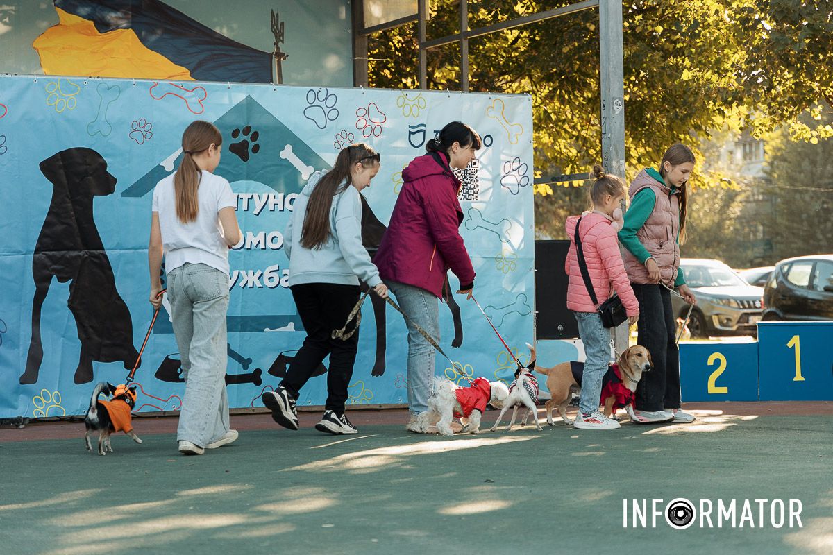 Дефіле собак, фотозони та море позитиву: у Дніпрі пройшов “Гав-Гав Фест – 2025” 17