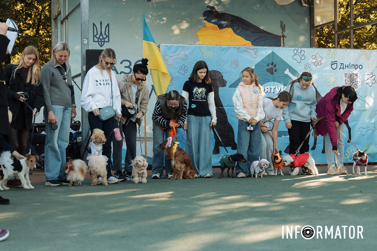 Дефіле собак, фотозони та море позитиву: у Дніпрі пройшов “Гав-Гав Фест – 2025” 18