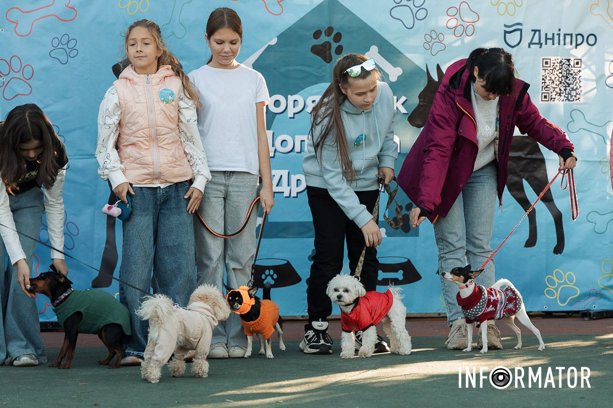 Дефіле собак, фотозони та море позитиву: у Дніпрі пройшов “Гав-Гав Фест – 2025” 19