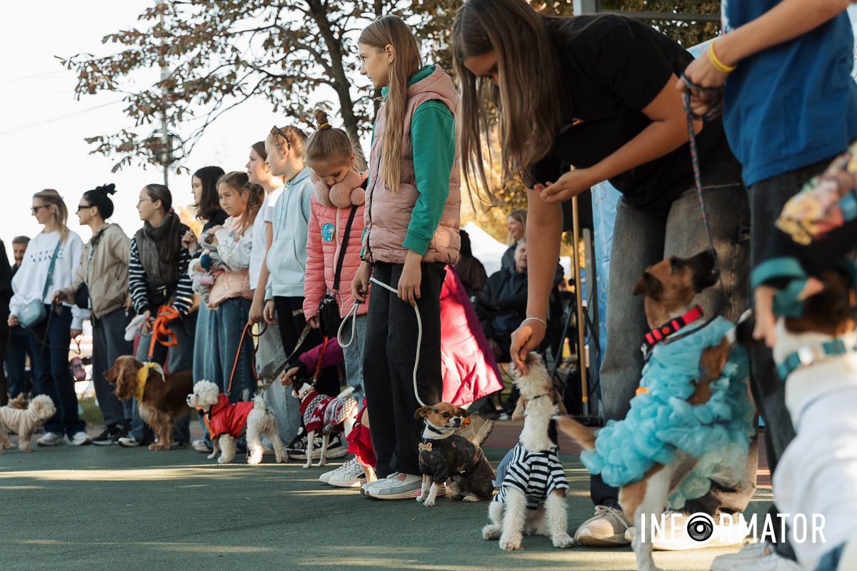 Дефіле собак, фотозони та море позитиву: у Дніпрі пройшов “Гав-Гав Фест – 2025” 21