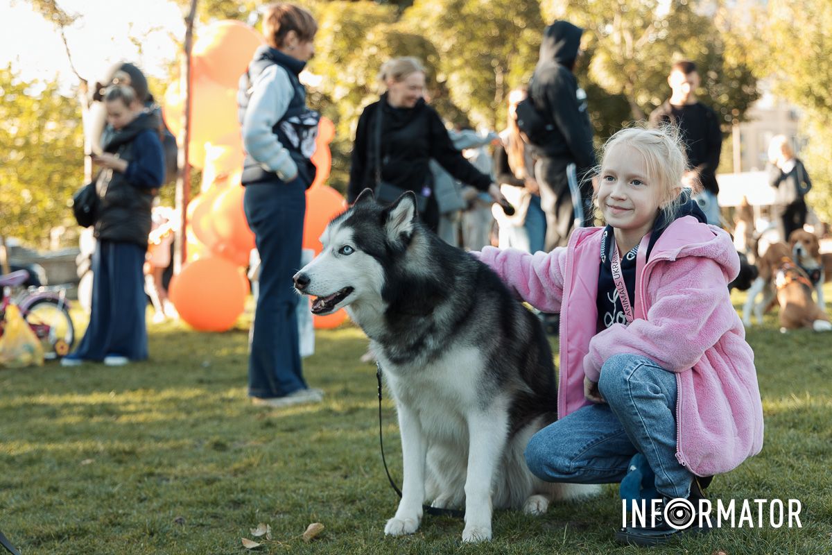 Дефіле собак, фотозони та море позитиву: у Дніпрі пройшов “Гав-Гав Фест – 2025” 30