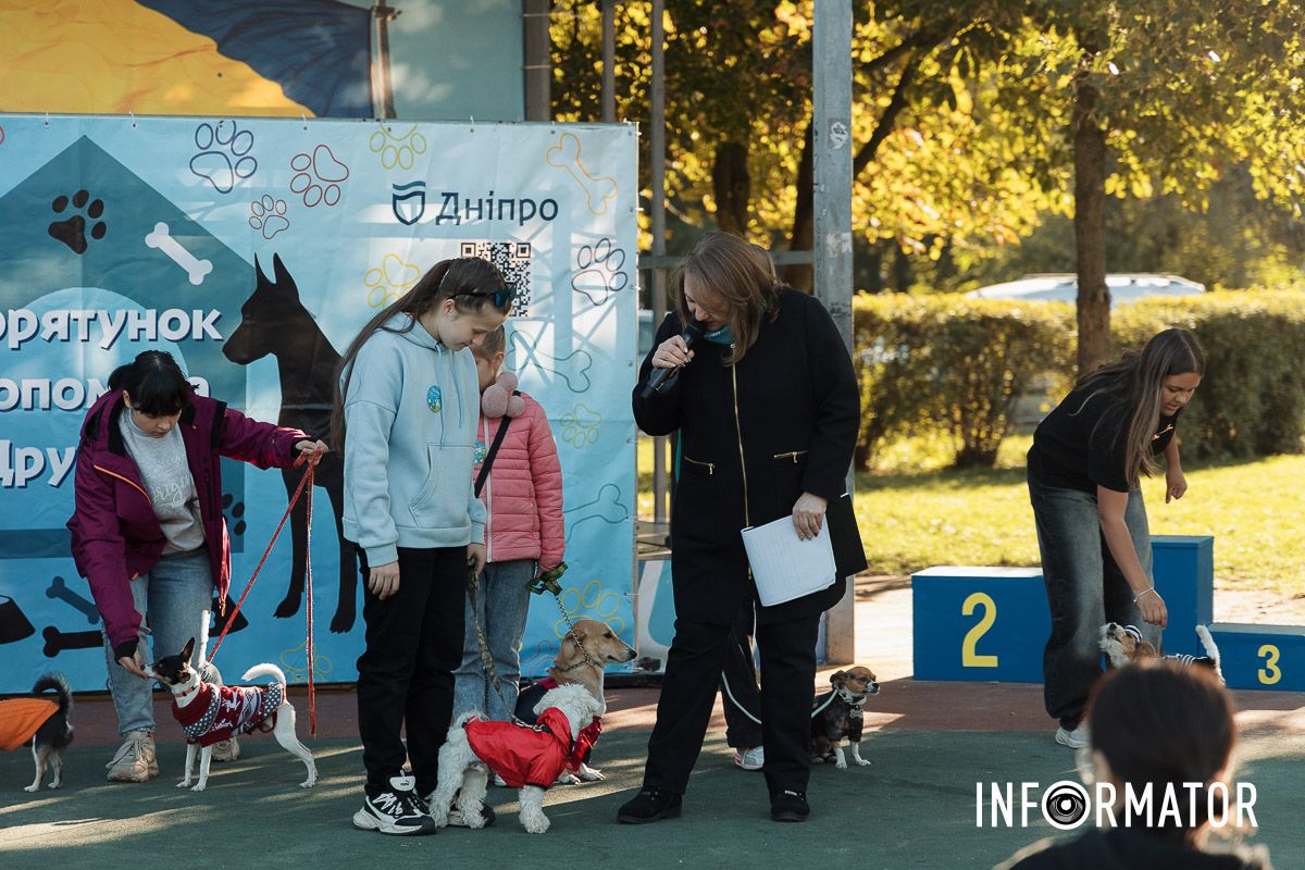 Дефіле собак, фотозони та море позитиву: у Дніпрі пройшов “Гав-Гав Фест – 2025” 31