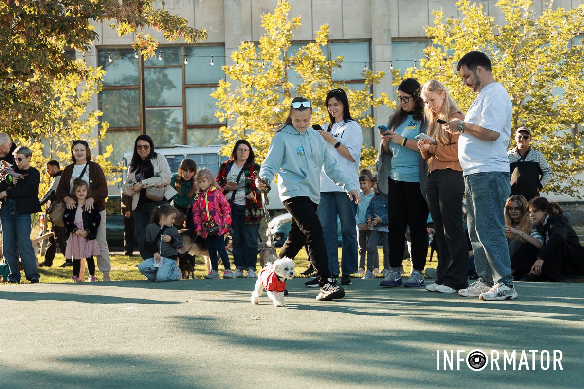 Дефіле собак, фотозони та море позитиву: у Дніпрі пройшов “Гав-Гав Фест – 2025” 32