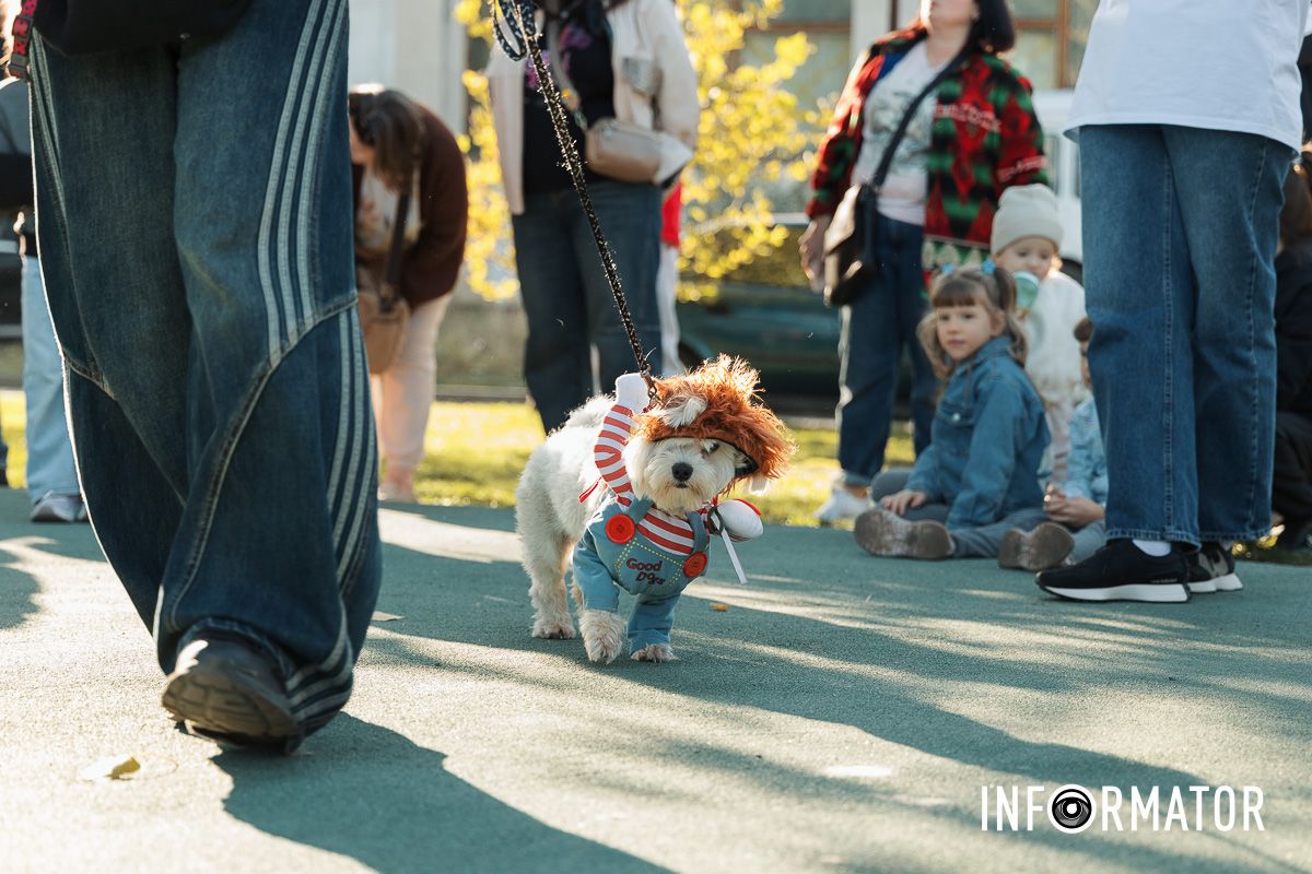 Дефіле собак, фотозони та море позитиву: у Дніпрі пройшов “Гав-Гав Фест – 2025” 38