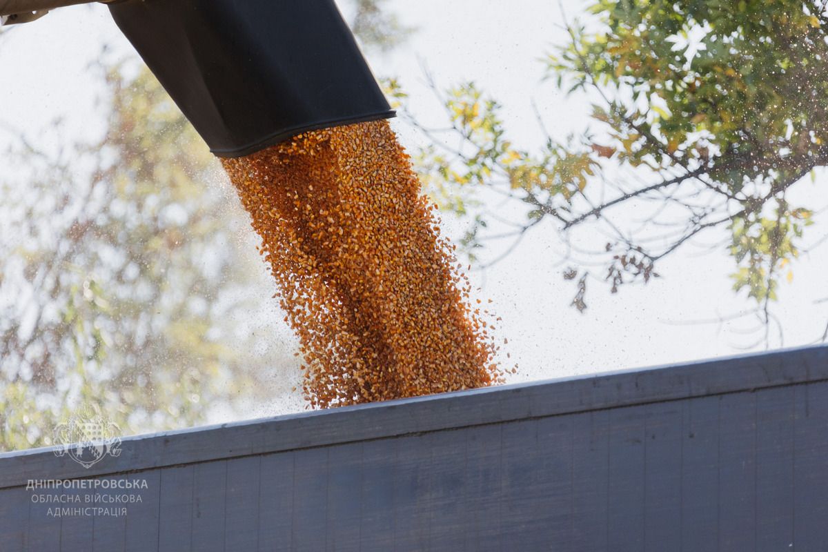 У Дніпропетровській області зібрали понад 1,7 мільйона тонн зернових і зернобобових У Дніпропетровській області зібрали понад 1,7 мільйона тонн зернових і зернобобових