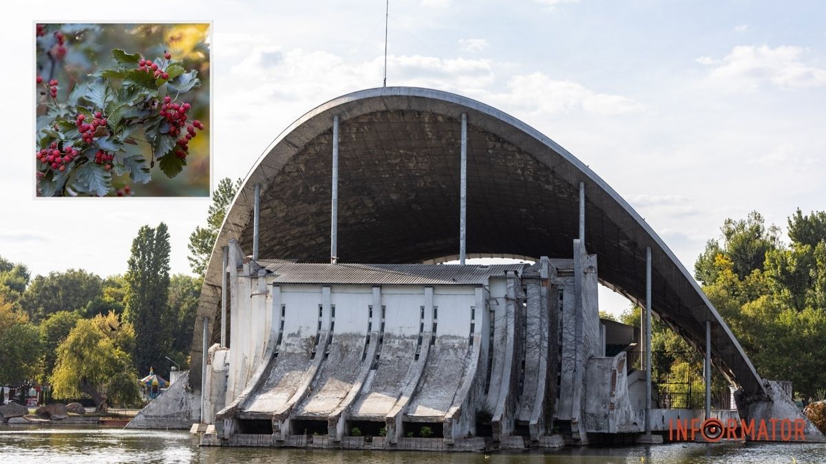 Погода на 2 жовтня: у Дніпрі буде похмуро