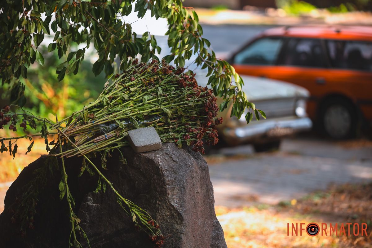 Факт зареєстрували для перевірки