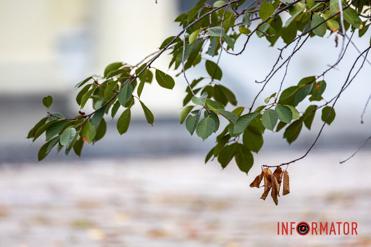 Как Днепряне проводят выходной в парке Шевченко 5