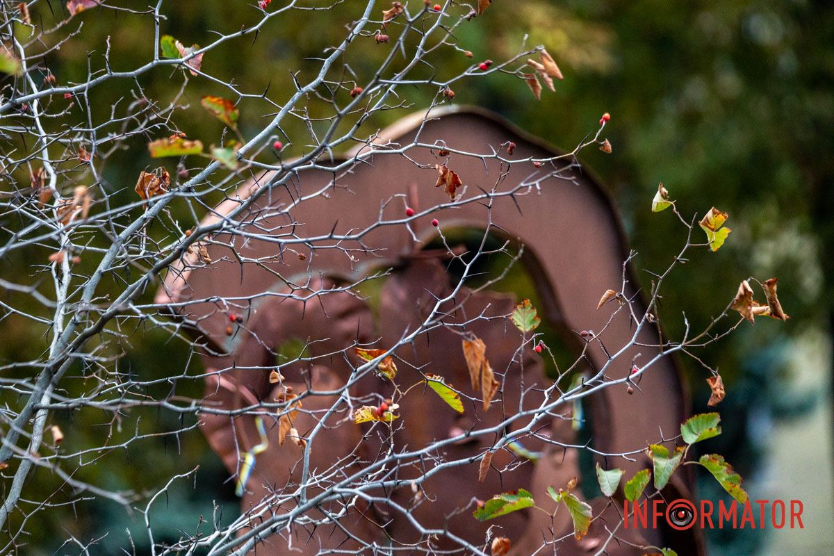 Как Днепряне проводят выходной в парке Шевченко 3