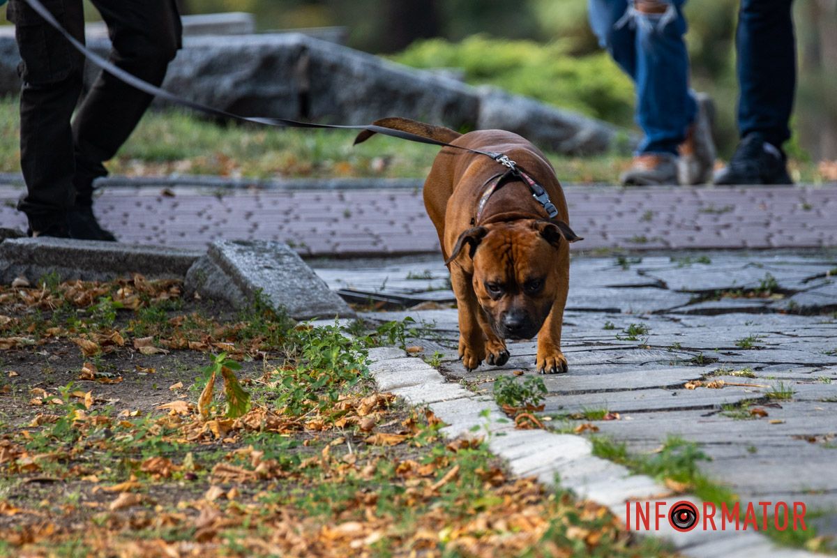 Как Днепряне проводят выходной в парке Шевченко 13