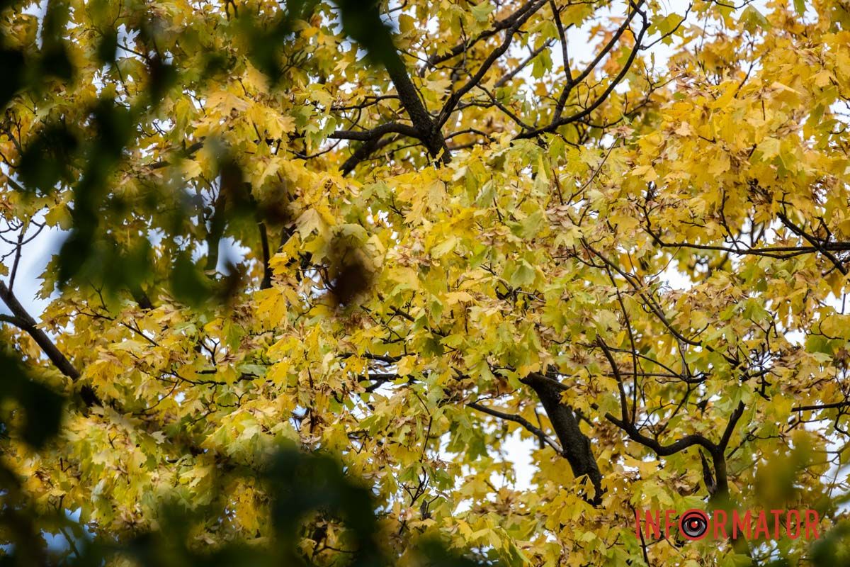 Как Днепряне проводят выходной в парке Шевченко 18