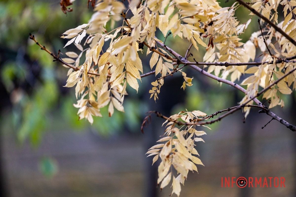 Как Днепряне проводят выходной в парке Шевченко 21