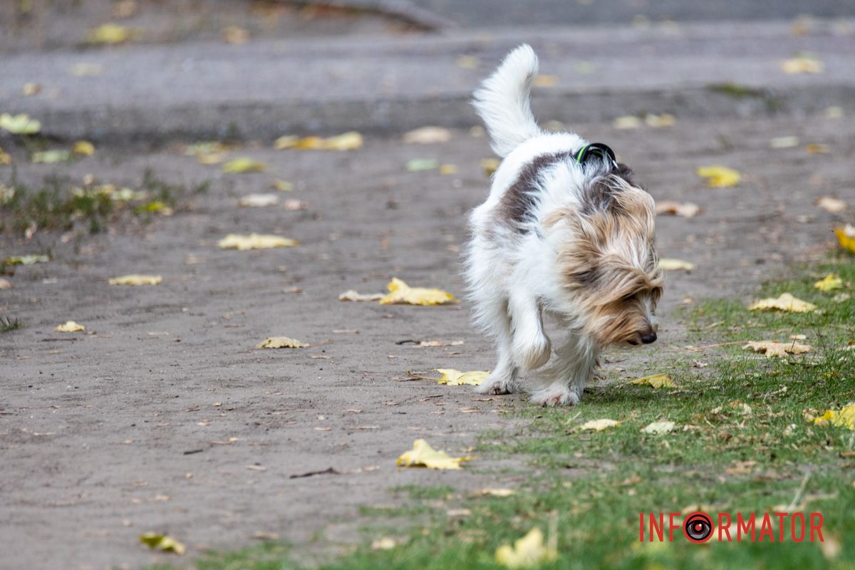 Как Днепряне проводят выходной в парке Шевченко 16