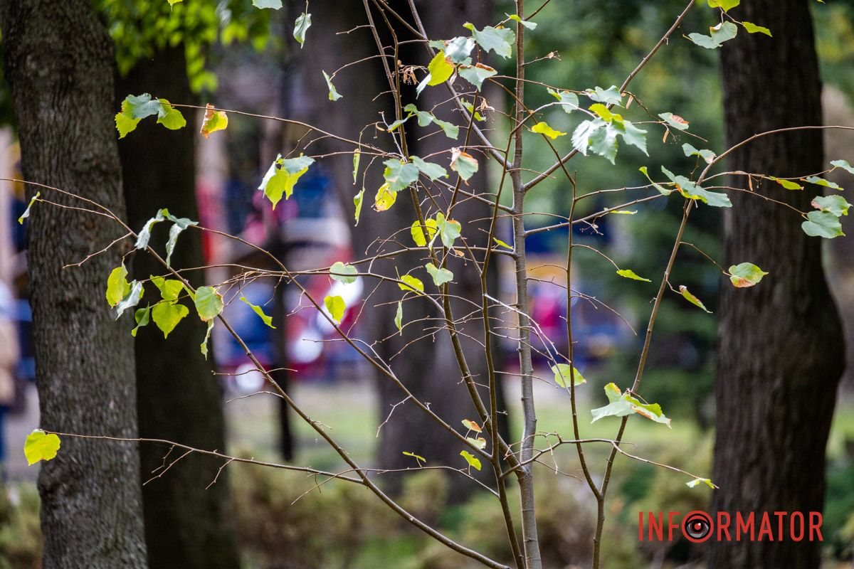 Как Днепряне проводят выходной в парке Шевченко 22