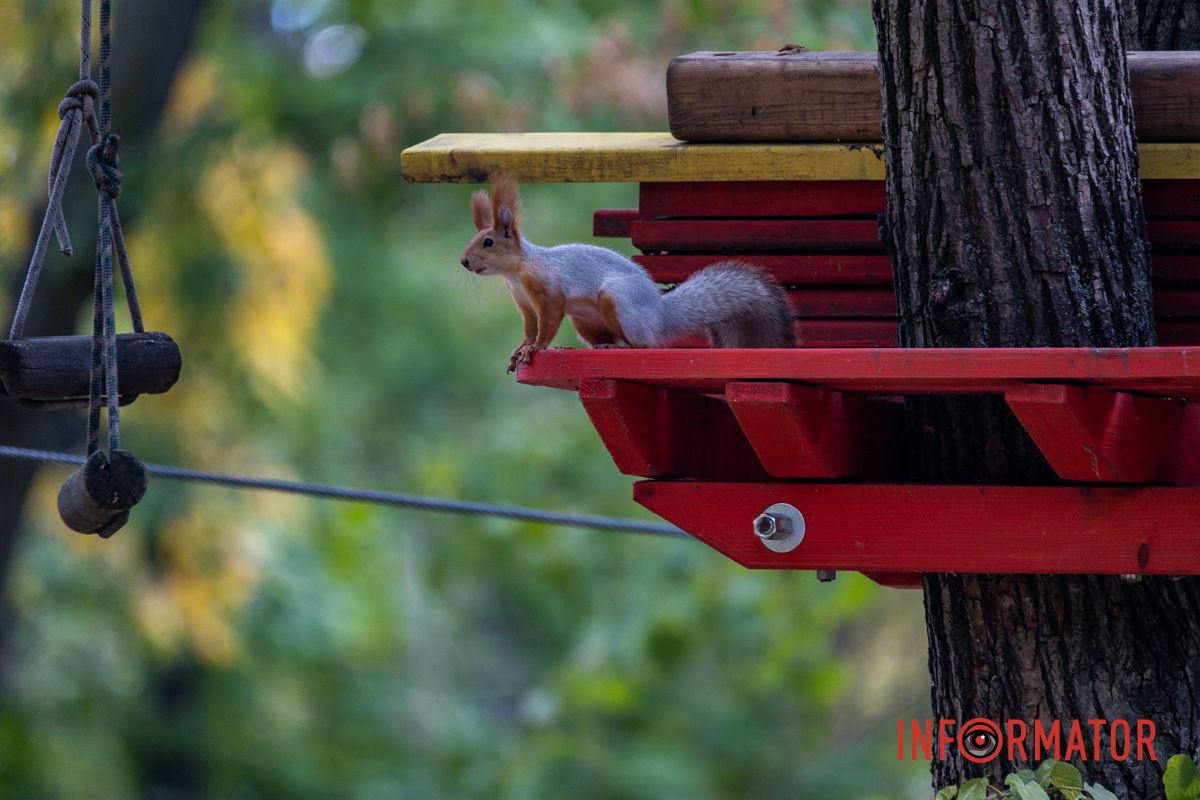 Как Днепряне проводят выходной в парке Шевченко 34