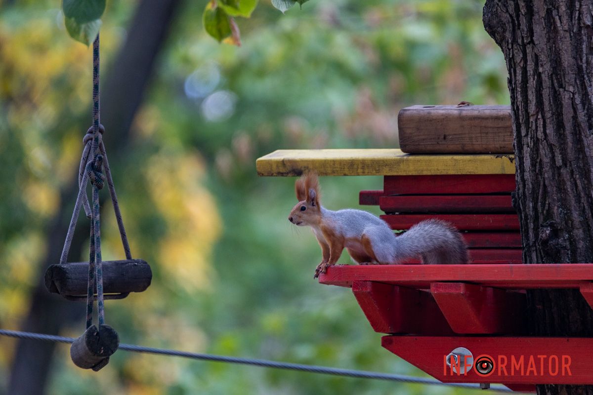 Как Днепряне проводят выходной в парке Шевченко 35