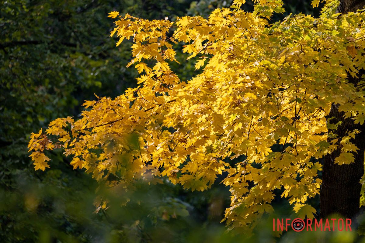 Как Днепряне проводят выходной в парке Шевченко 37