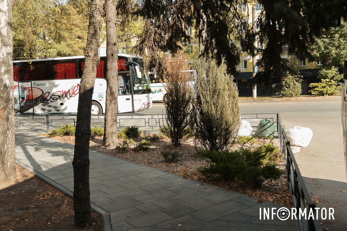 Зеленые насаждения Зеленые насаждения