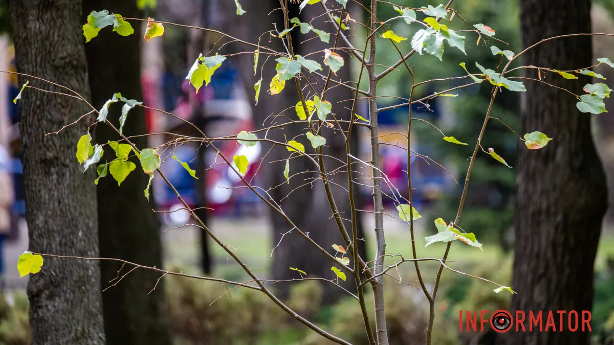 Погода на 7 жовтня: у Дніпрі буде хмарно