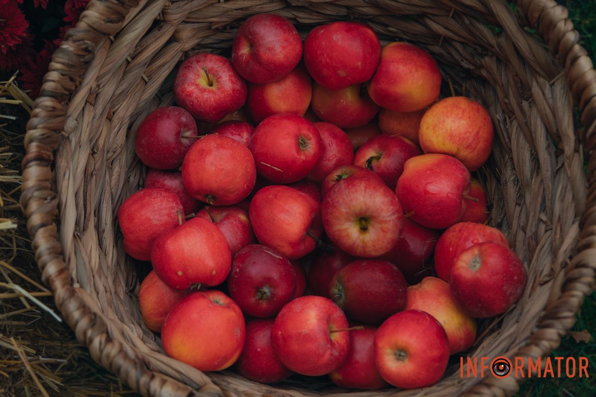 Яблочки пришлись детям по вкусу