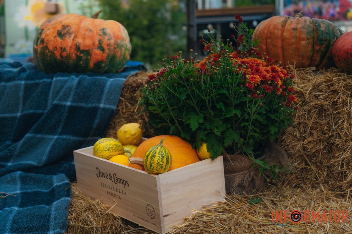 Цвета осени в Днепре создают невероятные фото для соцсетей.