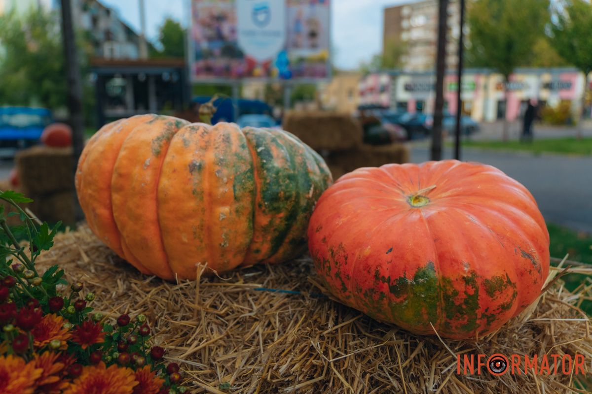 Выберите свою любимую тыкву и сделайте фото на память