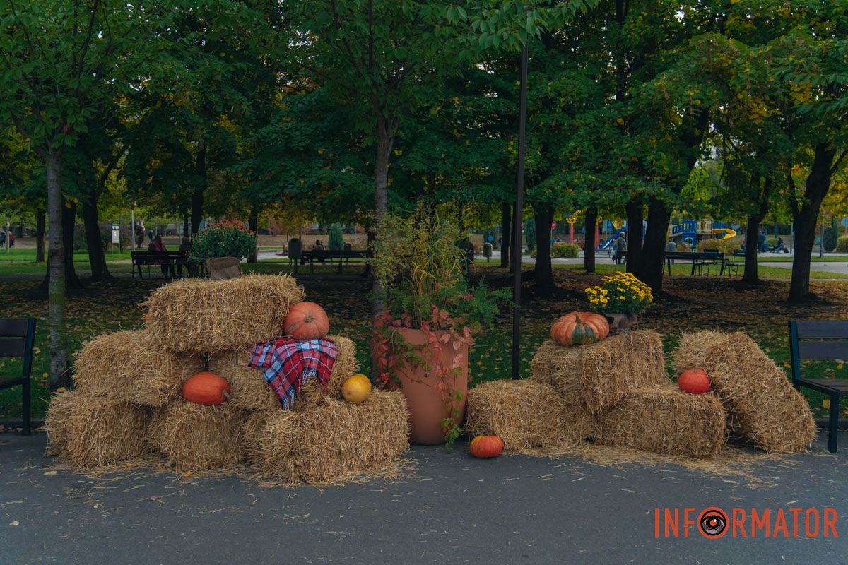 Фотозона для тех, кто хочет уйти от суеты и насладиться осенью