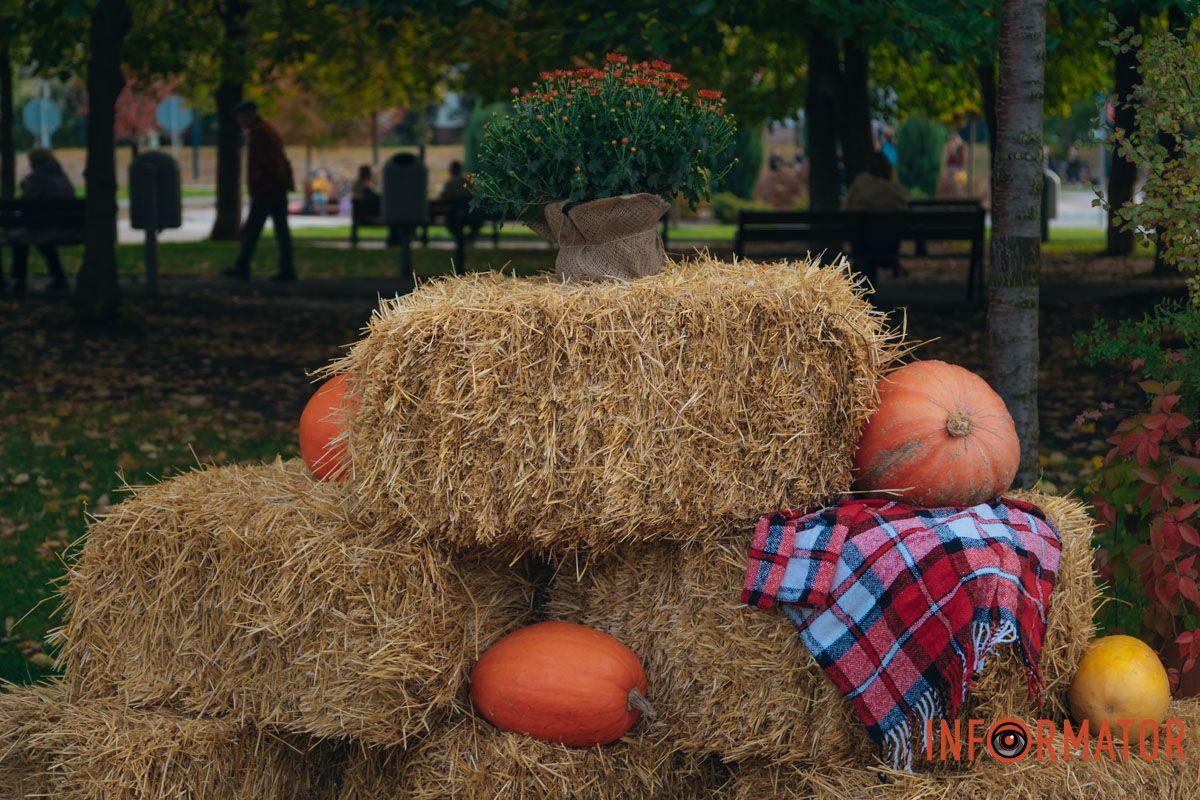 Тыквы, сено и яркие цветы – осеннее настроение в каждом кадре