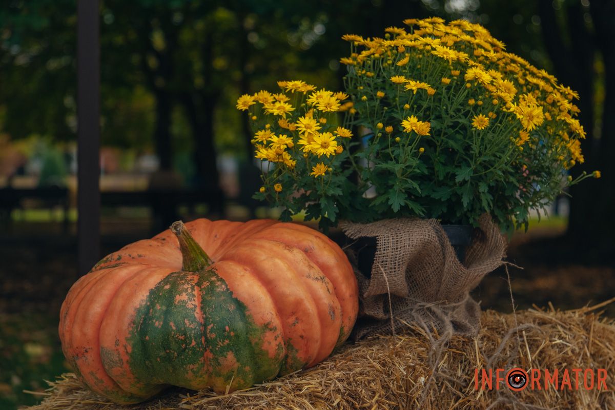 Яркие акценты в виде тыквы и цветов делают фото как с открытки.