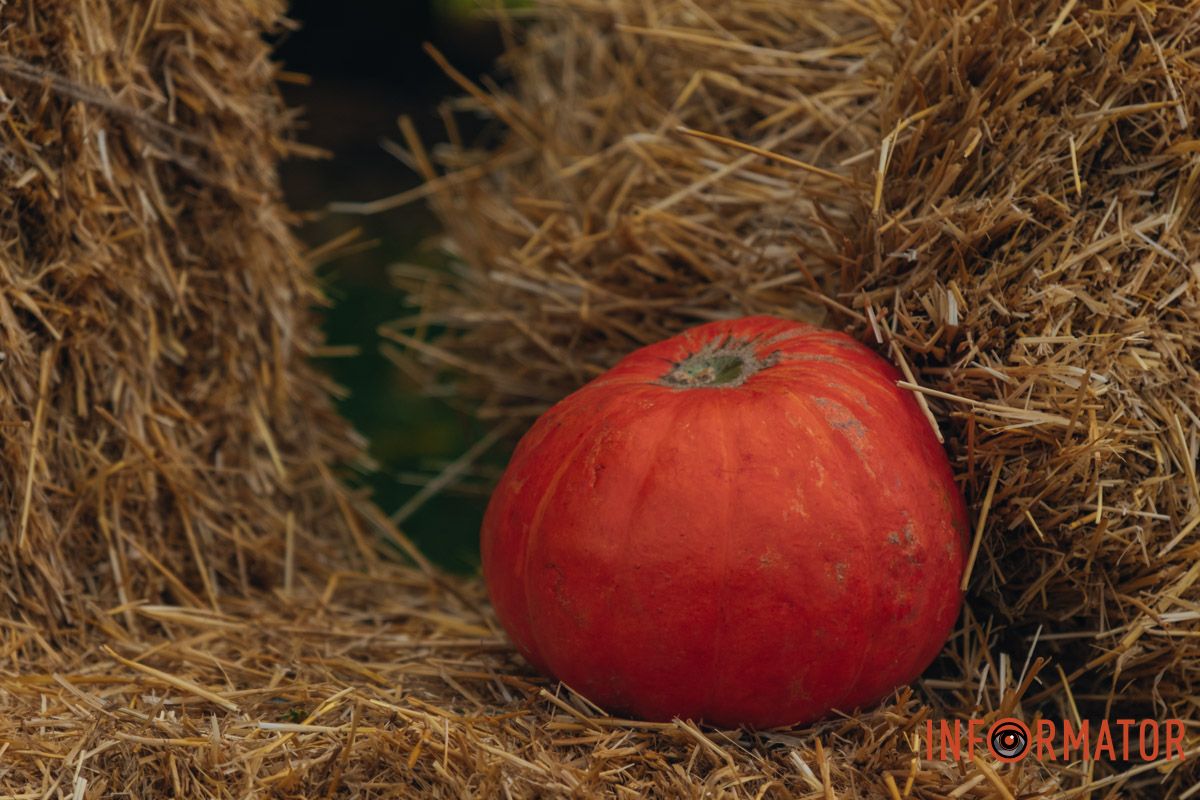 Фотозона с тыквами – маленькое осеннее чудо в центре города