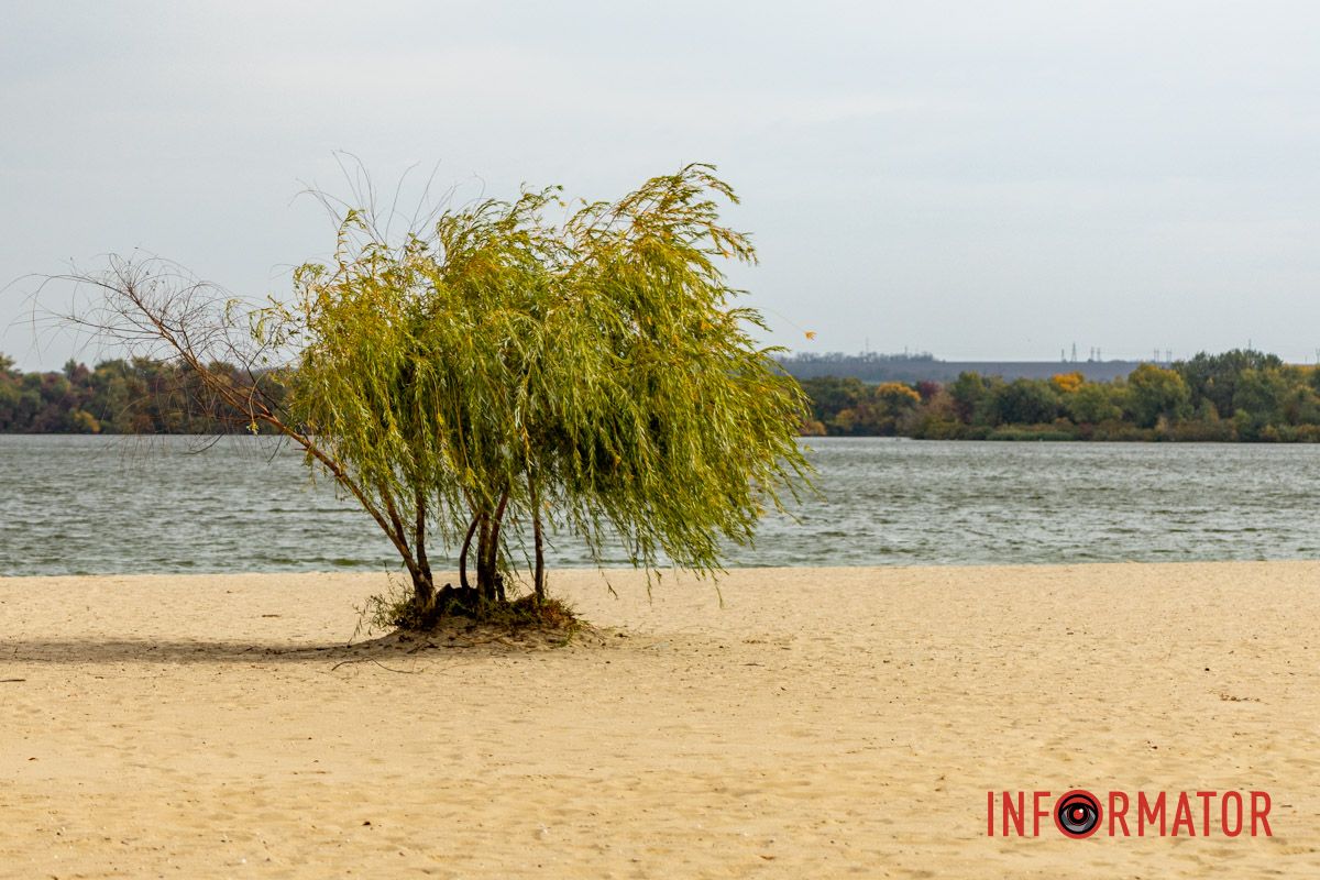 Встигніть зробити фото: у Дніпрі на Монастирський острів завітала осінь 17