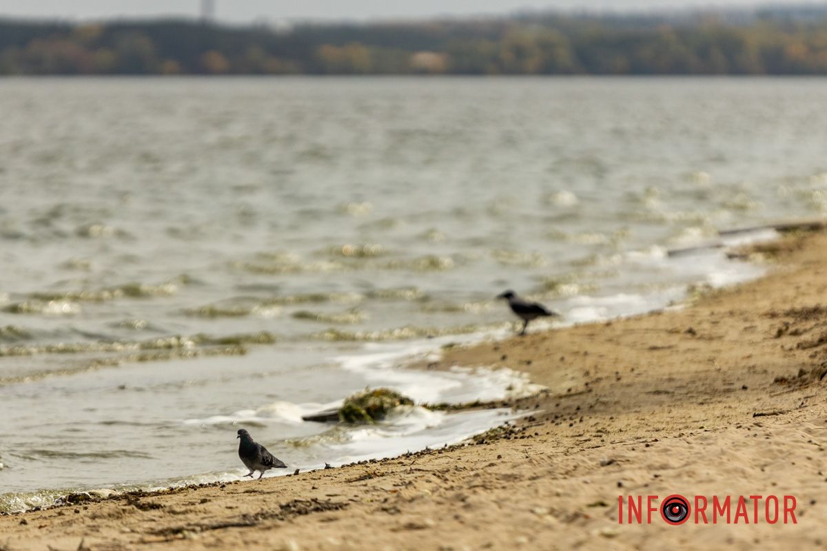 Встигніть зробити фото: у Дніпрі на Монастирський острів завітала осінь 36