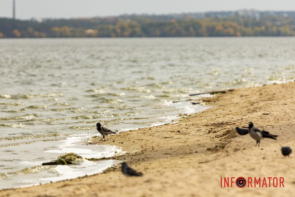 Встигніть зробити фото: у Дніпрі на Монастирський острів завітала осінь 34