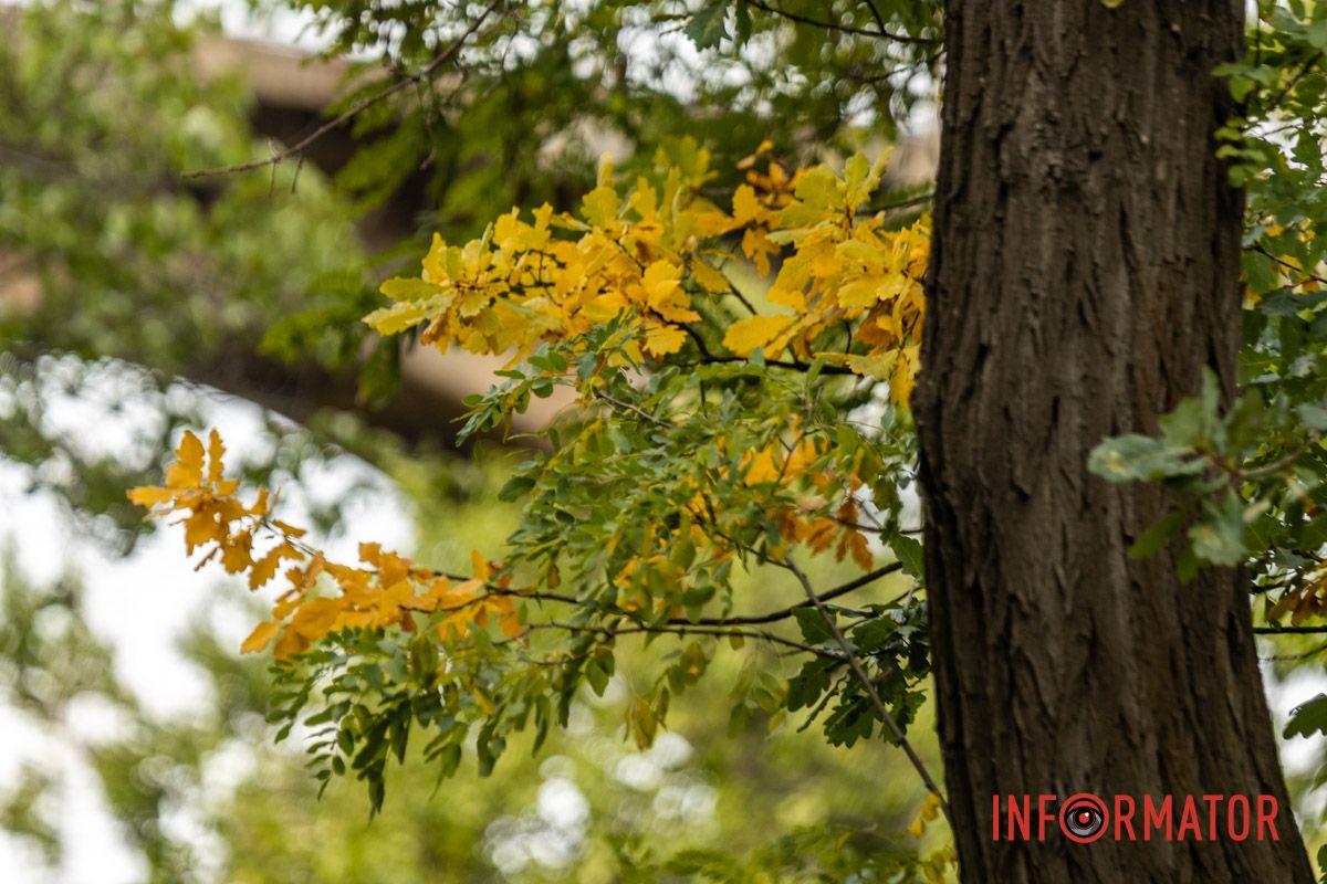 Встигніть зробити фото: у Дніпрі на Монастирський острів завітала осінь 27