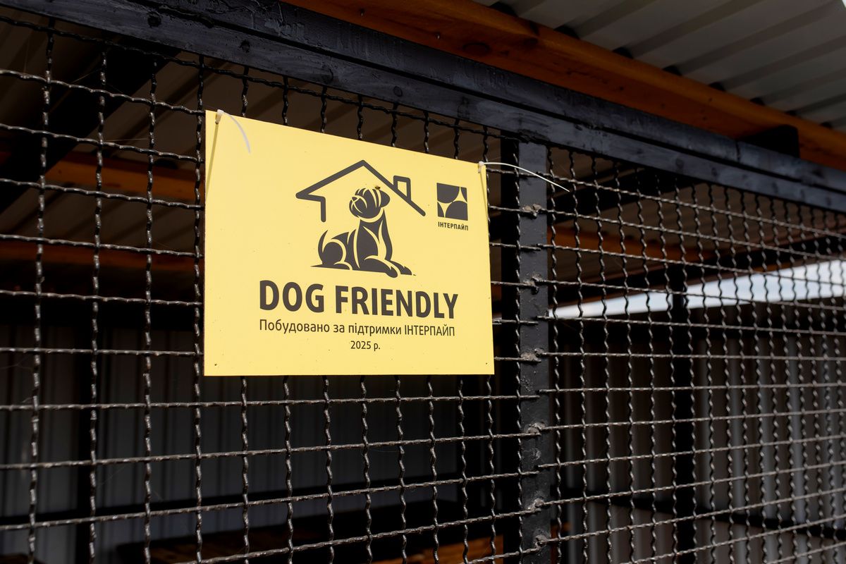 Помогли животным: «Интерпайп» построил просторные вольеры в приюте «Пегас».