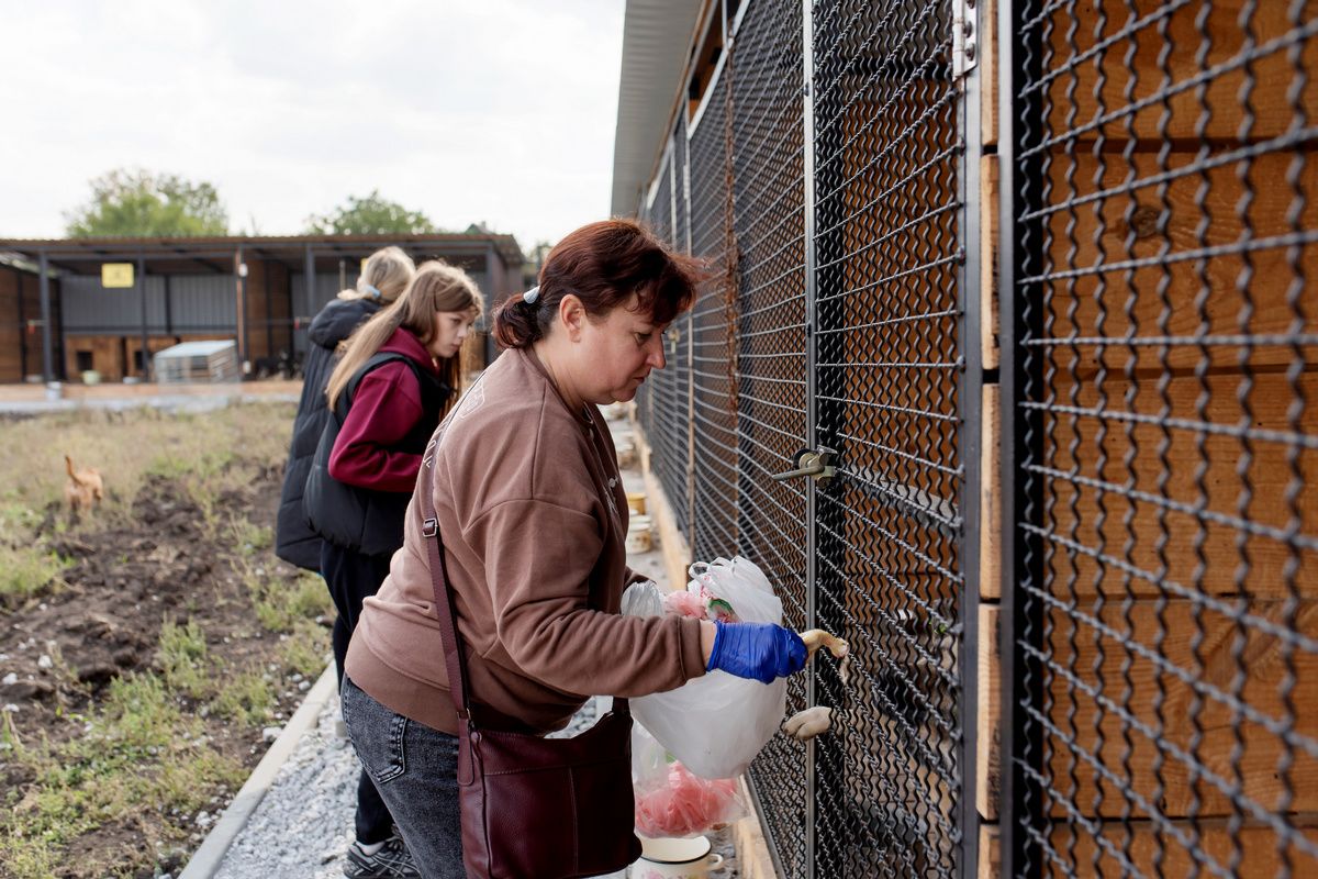 Помогли животным: «Интерпайп» построил просторные вольеры в приюте «Пегас».