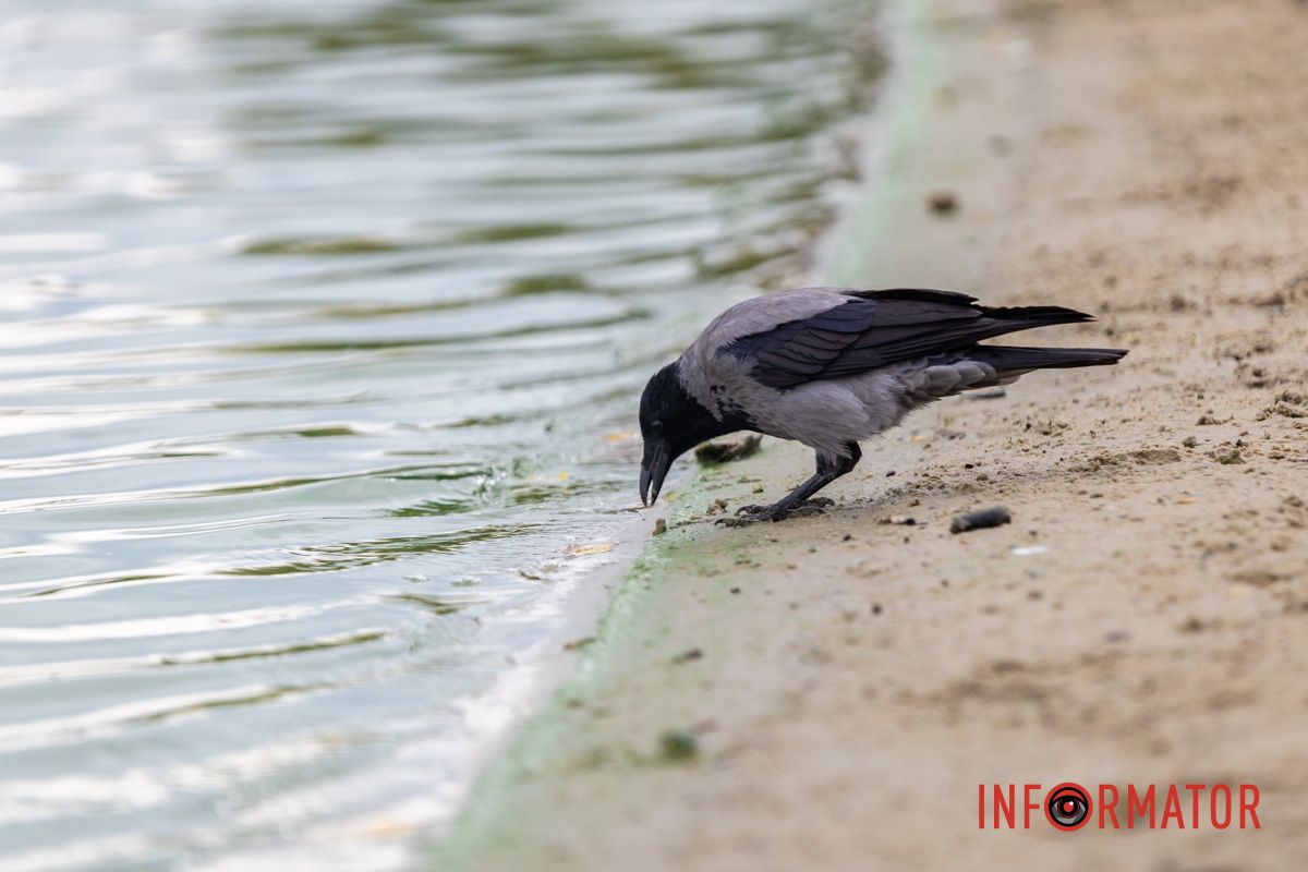 Фрагменты осени в каждом фото: как Днепр встречает октябрь 16