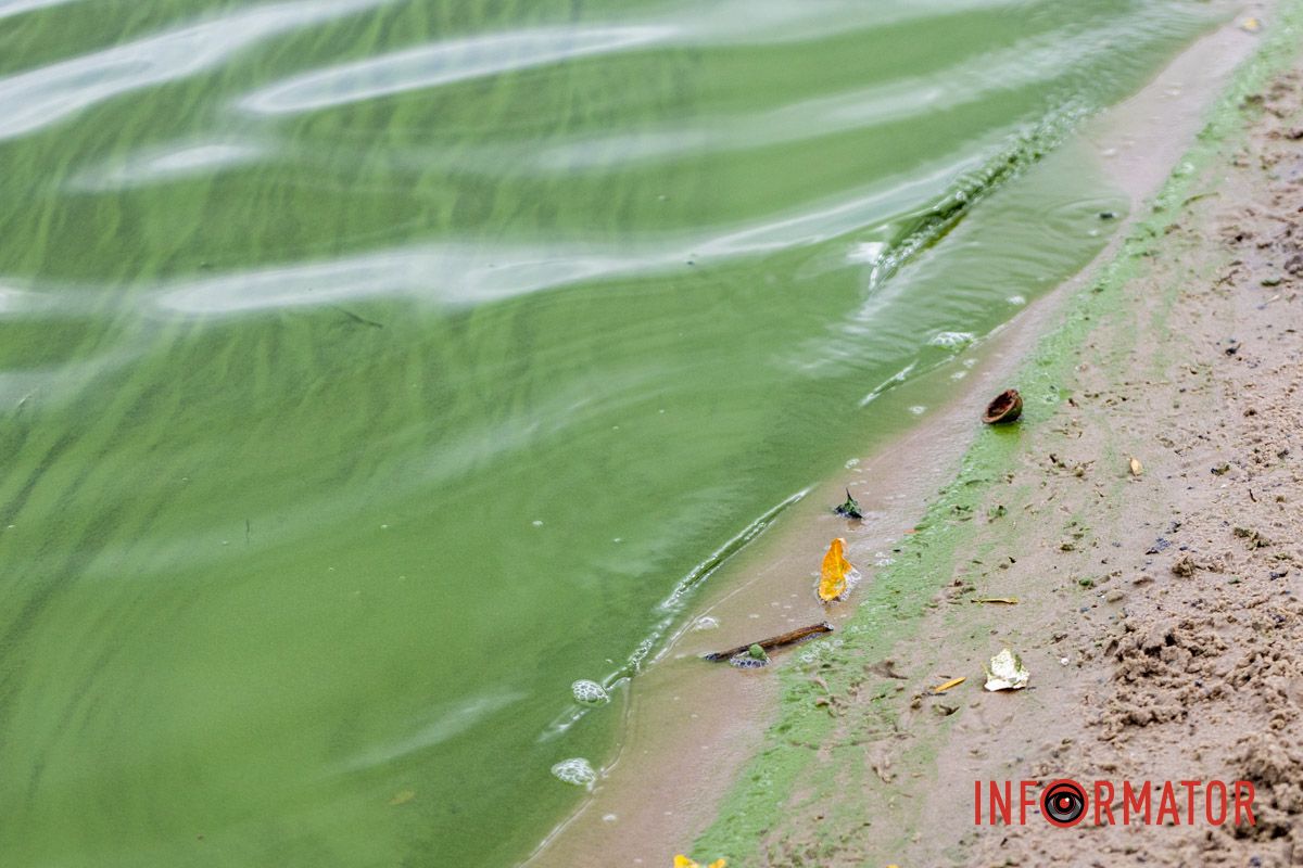 Фрагменты осени в каждом фото: как Днепр встречает октябрь 15