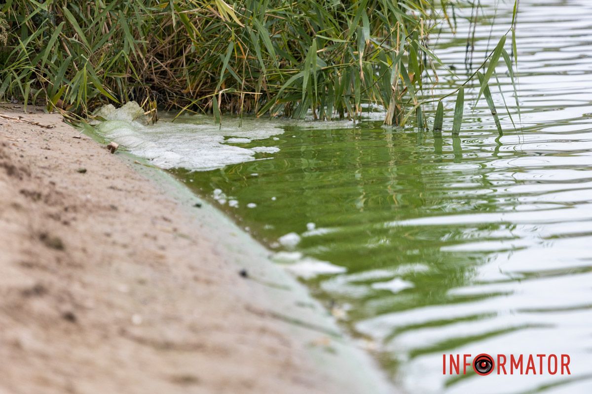 Фрагменты осени в каждом фото: как Днепр встречает октябрь 4