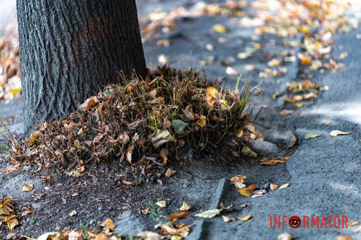 Подрядчика еще не выбрали