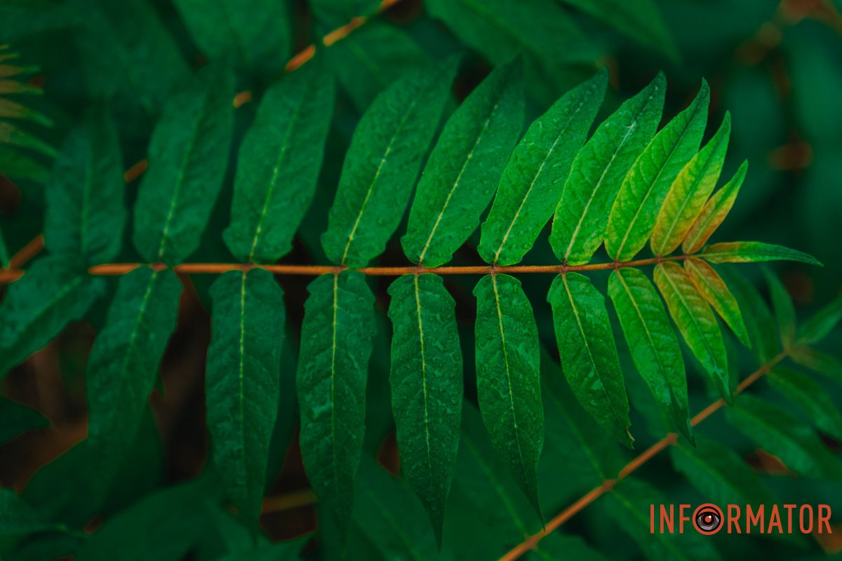 Осень окрашивает город в другие оттенки